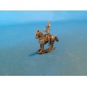 GENERALS AND COMPLEMENTS